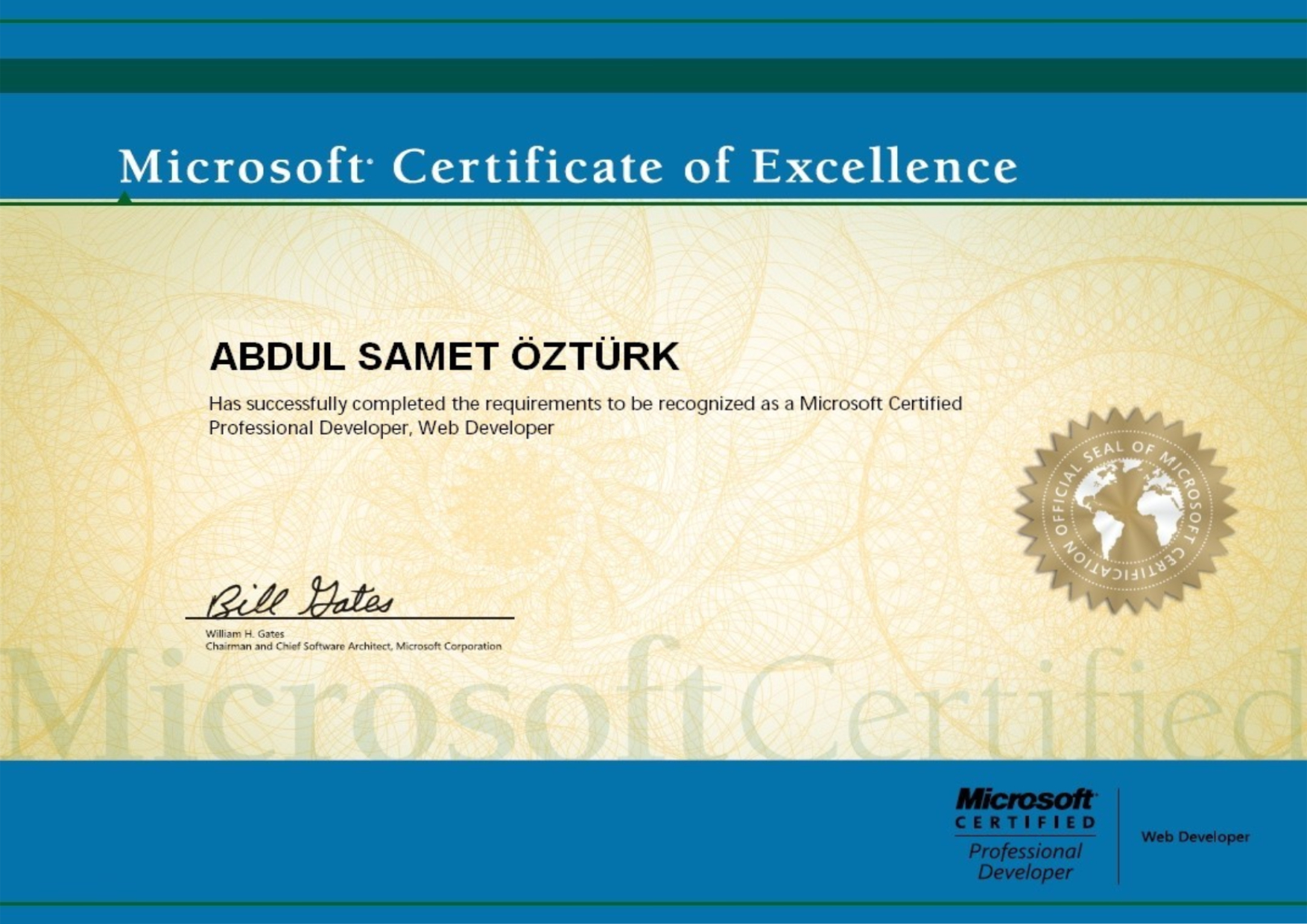 MICROSOFT WEB DEVELOPER